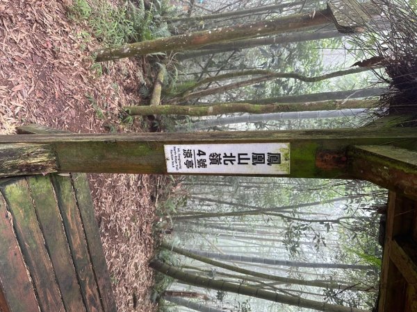 鳳凰山3094600