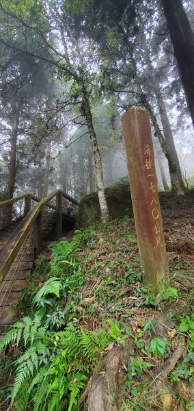 2023-11-25溪頭鳳凰山步道2361034