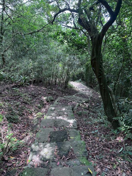 台北大縱走第二段2786953