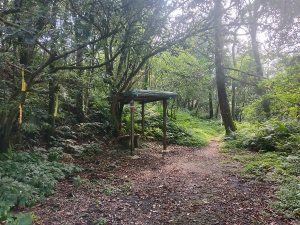 雙溪區豹子廚越嶺保甲路+北豹子廚山+中坑東山稜線O型2880070