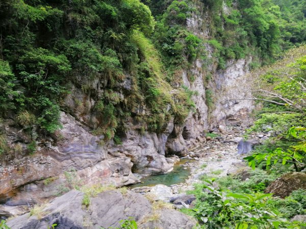 花蓮秀林~峻秀峽谷山水石壁畫~砂卡礑步道1039794