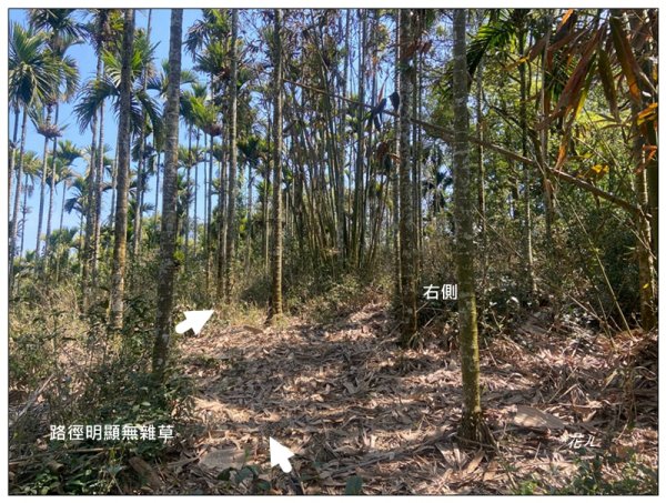 龜子坑山 (南投、魚池)2755652