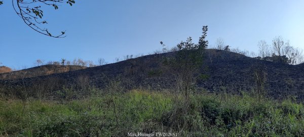 《台中》短暫暖陽｜龍井竹坑南寮步道O繞202601042976451