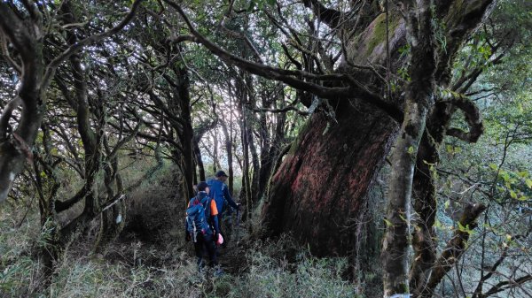 小塔山2291峰探勘山羊關泉水仙洞去兜山2351429