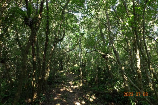 宜蘭 礁溪 鵲子山、五峰旗山、後湖子山2211627