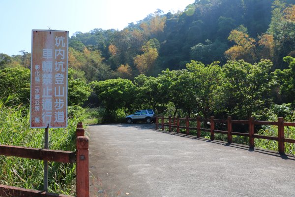 藍天綠意練腳力。 坑內坑森林步道781853