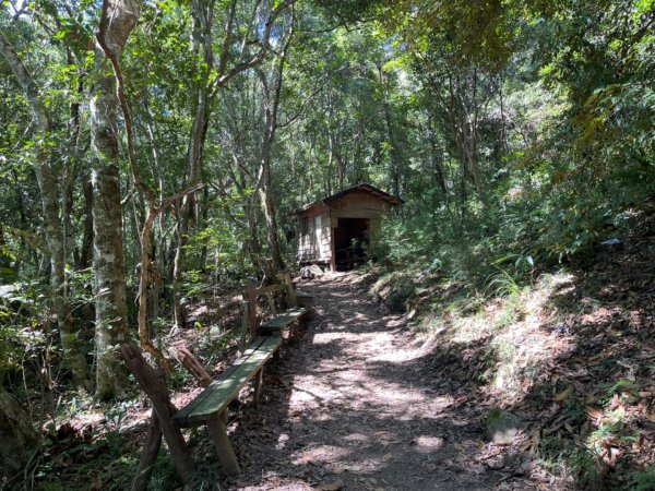 1140825司馬庫斯新巨木園區-司立富瀑布-部落觀景台2871216