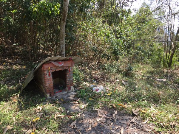 20220305高雄兔和山1633575