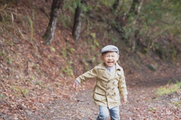 20200310-司馬庫斯神木群步道914323