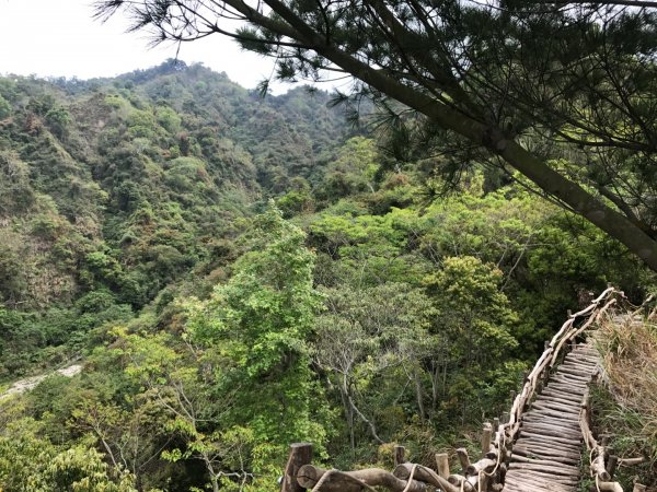 頭嵙山攻頂577434