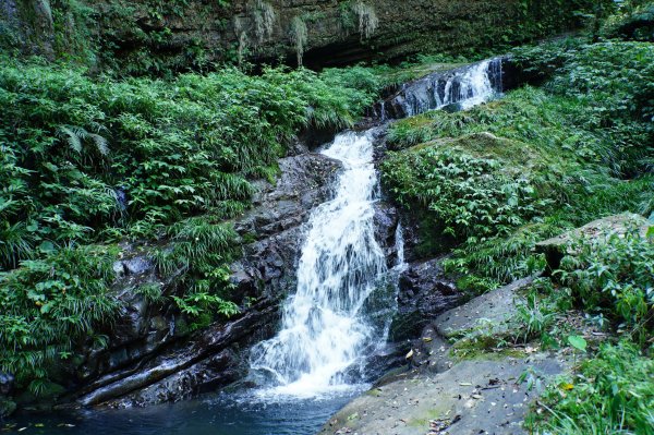 新竹 五峰 鵝公髻山2916855
