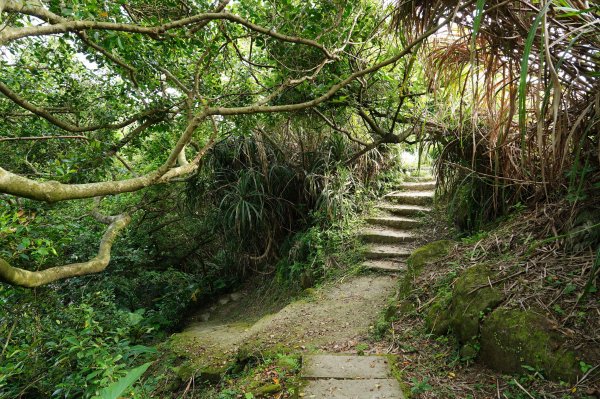 新北 金山 金包里山、磺港山2780929