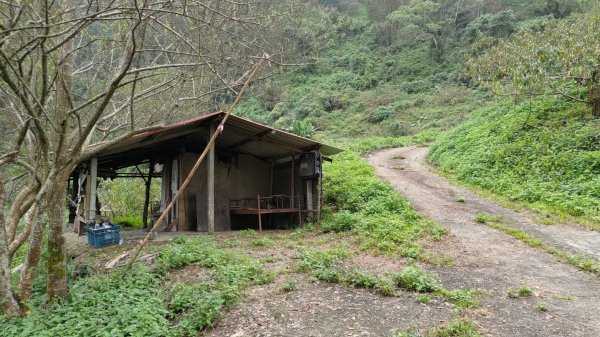 大棟山 關子嶺，  曲積山 那瑪夏 ，王爺崙 南化1940298