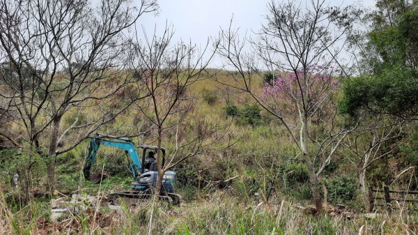 《台中》新春減肥｜龍井竹坑南寮登山步道202202121608726