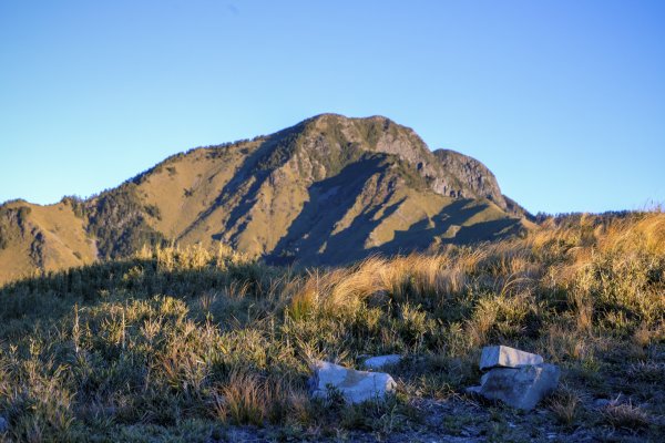 大小劍-油婆蘭全紀錄2674180