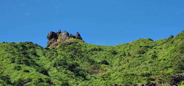 2022-07-31無耳茶壺山步道1786339