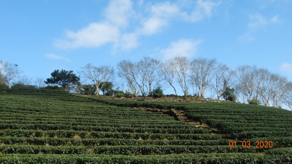 首登牡丹山-新店40份坪林南山寺五分山796054