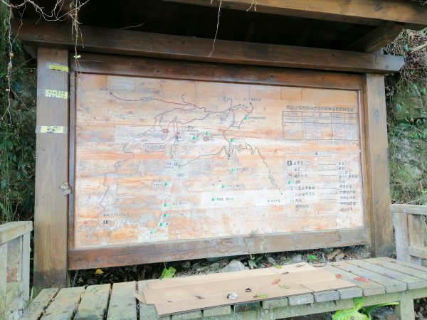 台南東山~山上尋悠。 #65小百岳崁頭山915972