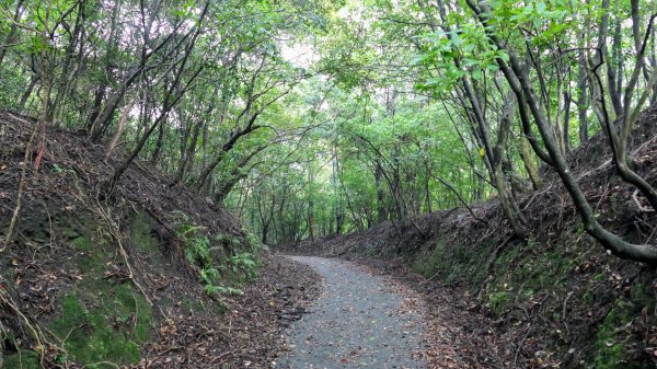 貂山古道,琉榔路觀光步道2590544