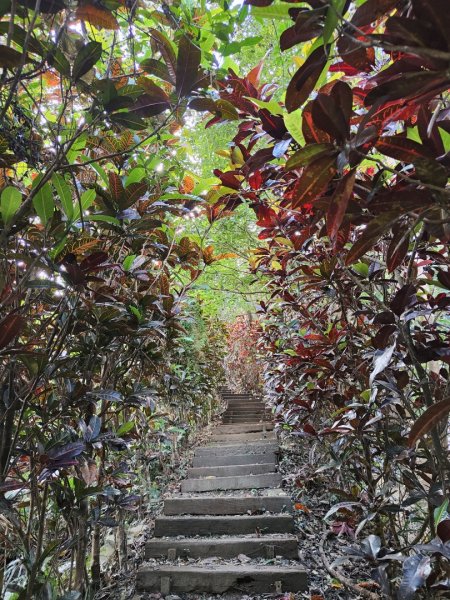 2023.12.30 獨立山2840294