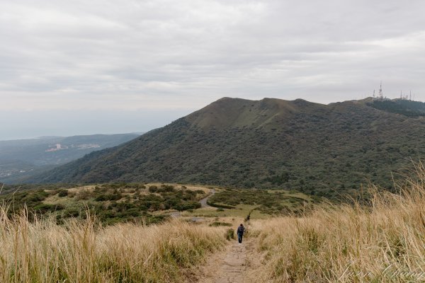 [台北]大屯山2693405