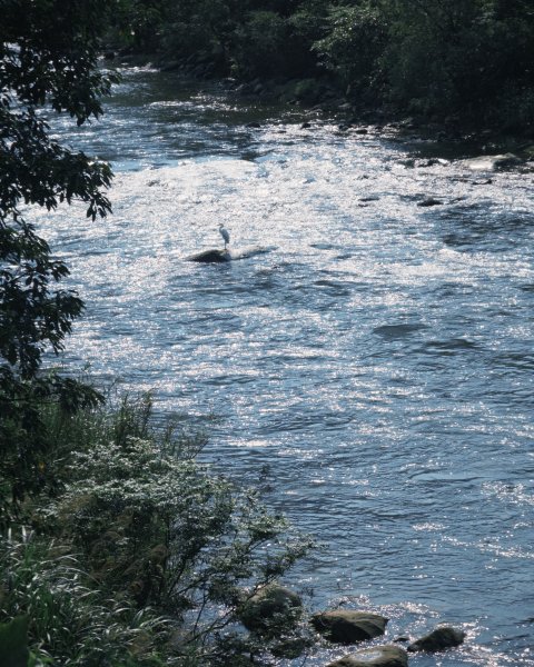 【編輯去旅行】行腳隨筆：淡蘭北路 D1 — 看山看海看遺跡，落腳山谷中的珍珠