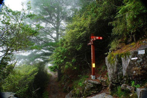 臺灣 嘉義 玉山3110182