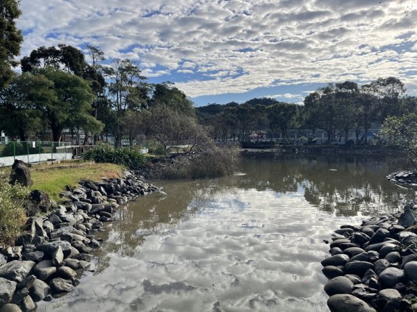 大湖翠湖金龍湖2711884