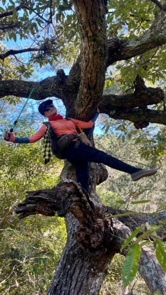 【谷關七雄】波津加(H1771.6m)肉腳配速成功2670568