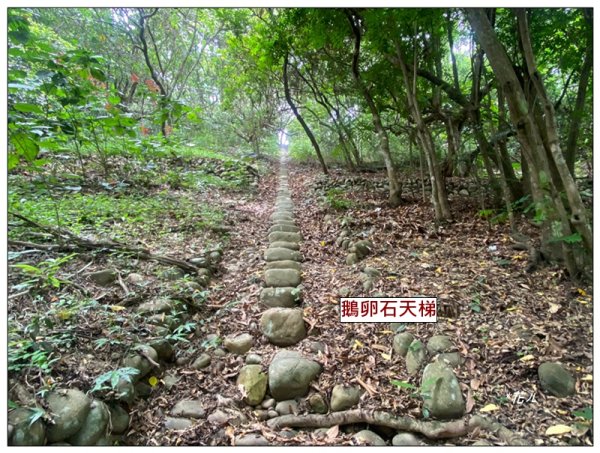 挑水古道、碧山古道、崩坎基石 ( 彰化、芬園 )
