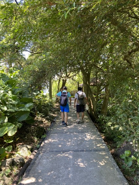 《陽明山秘境健行｜翠峰瀑布 × 天母古道 夏日涼爽路線》2852235