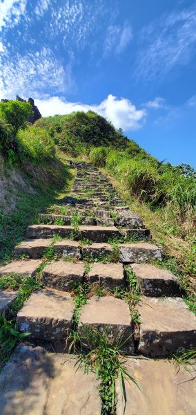 2022-07-31無耳茶壺山步道1786348