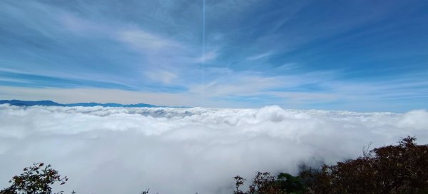 鳶嘴山美呆了~滿滿的雲海~1884271