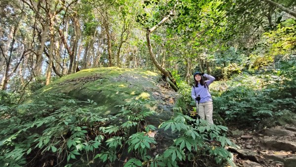 油羅山202503092731883