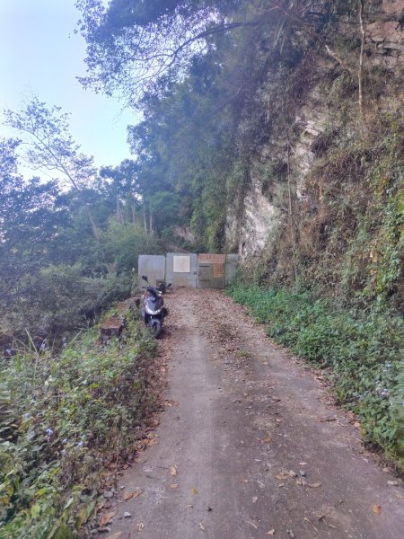 多納六秀 屯子山 安通吊橋2987250