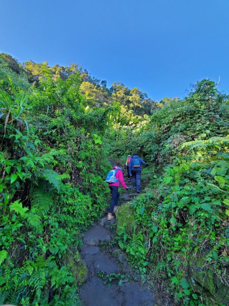 【苗粟 | 馬拉邦山】1227222