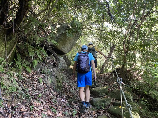 《五指山古道 × 石盤瀑布 × 友蚋山南峰 × 柯子林天然泳池｜尋訪山林古道與靜謐日式庭園》2923000