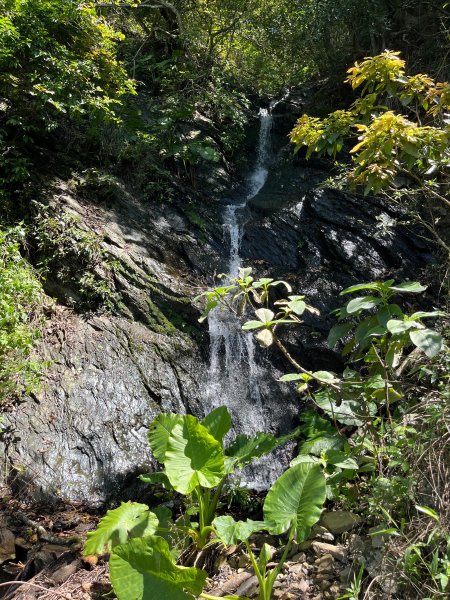 戶亞宇山基點峰-戶亞宇山主峰 2025.6.152815040