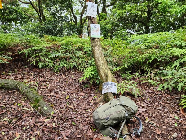 20230423鹿母潭山、獅仔頭山、大丘田山、粽串尖山2239632