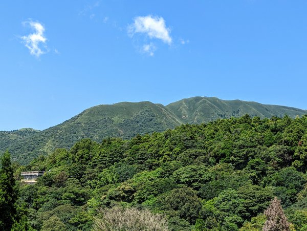 竹子湖步道群悠遊行1853511