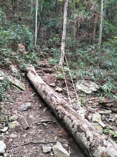 谷關七雄：馬崙山1530428