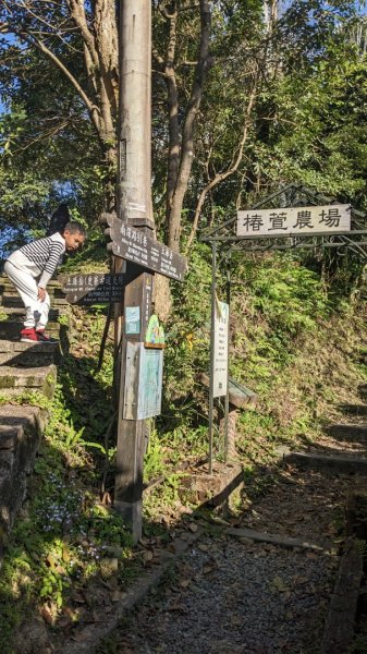 更寮古道 土庫岳 土庫岳東峰 山豬窟尖2056808