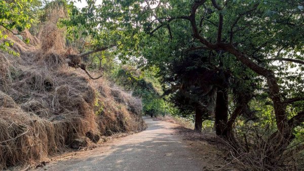 竹仔尖山步道3002510