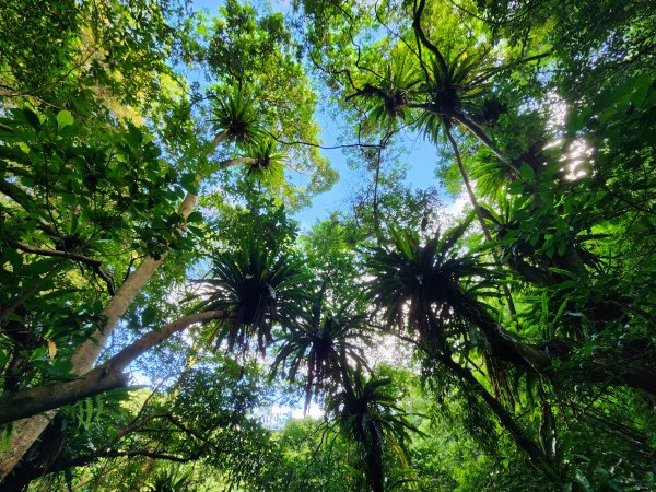 小百岳No.17⛰二格山2895562