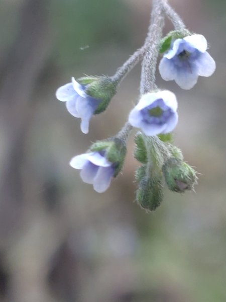 大竹溪山連走鞍輪名山3006883