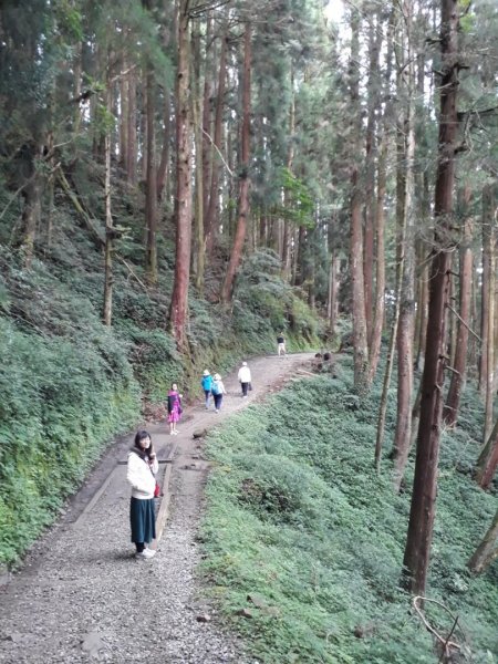 嘉義特富野古道，南投摩摩那爾瀑布1646064