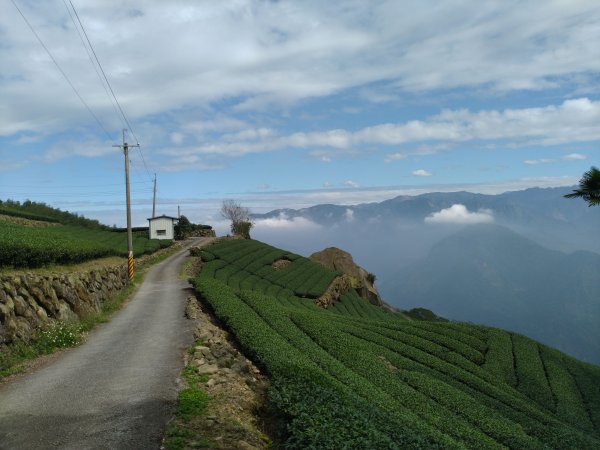 2020-2021 後棟仔 大尖山 二尖山1527161