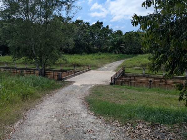 20260417 汶萊 - Bukit Si Patir3038258