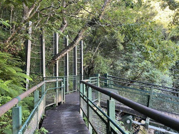 [玉山尋寶任務-03/12] 2025_0810 瓦拉米步道2857387