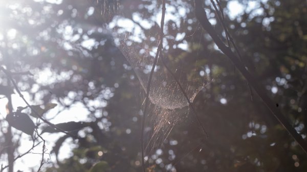 微笑山線 筆架連峰段段｜健行筆記尋寶任務2824774